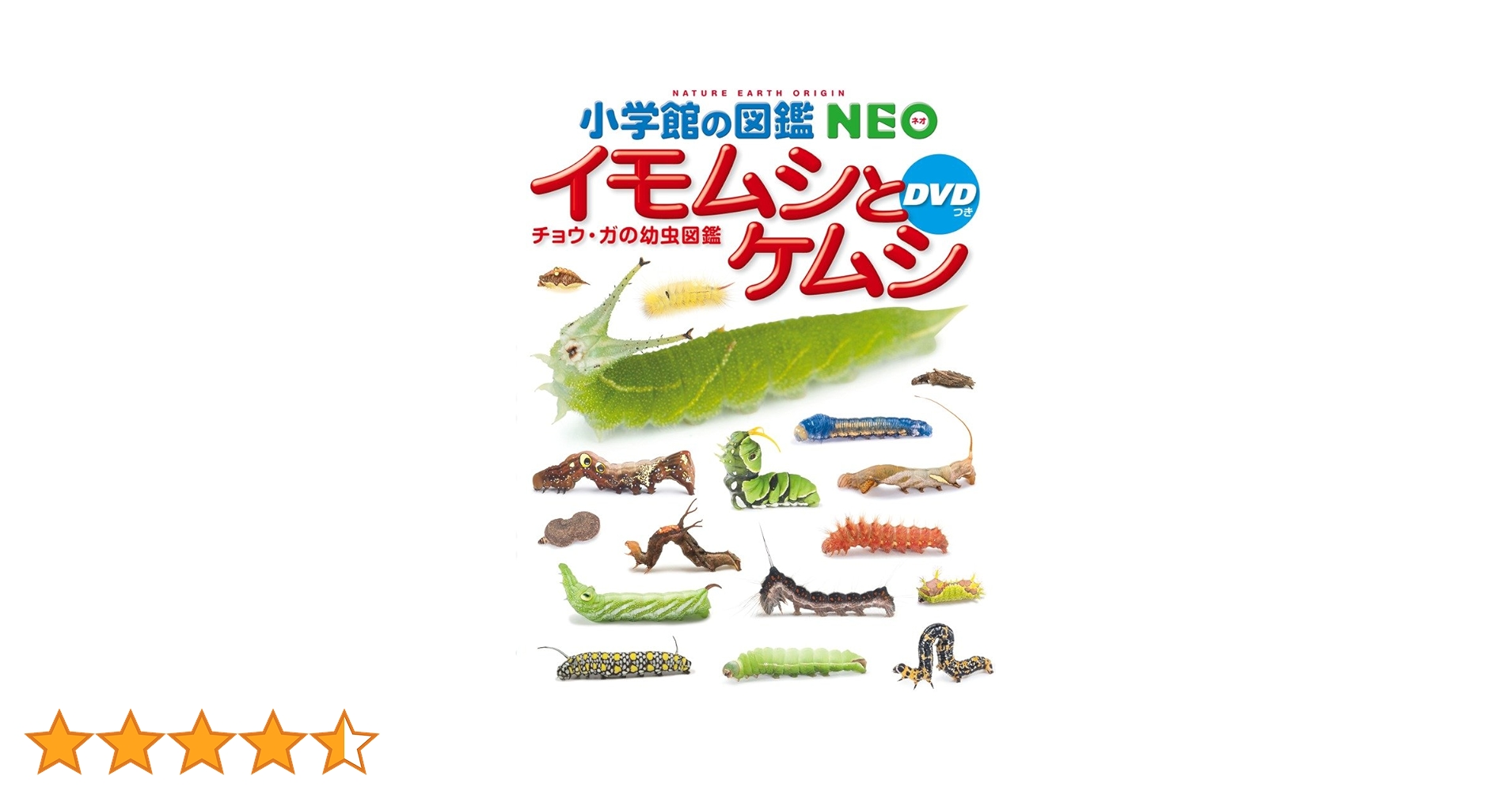 71sV5-KOJTL.jpg_BO30,255,255,